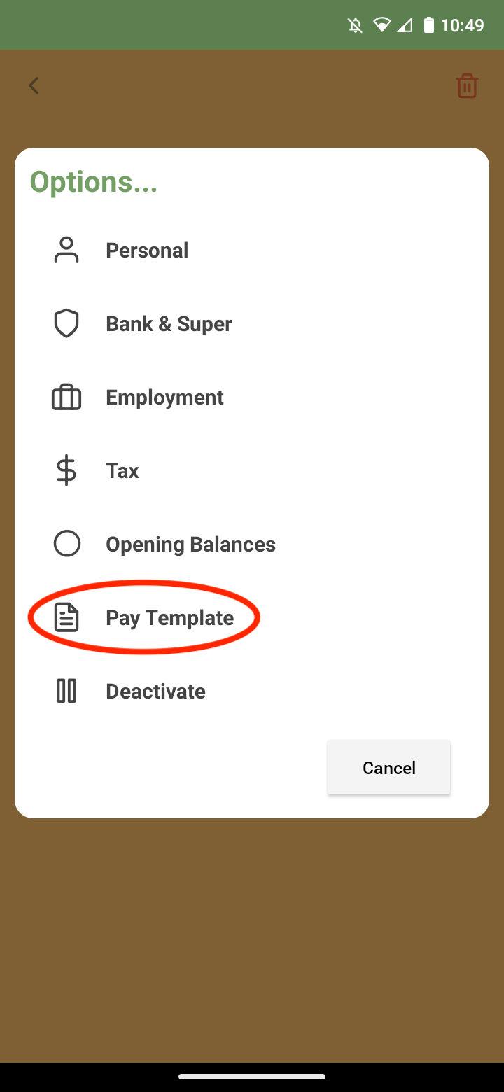 Payroller Mobile App - How to use the pay template on the Payroller mobile app - 4