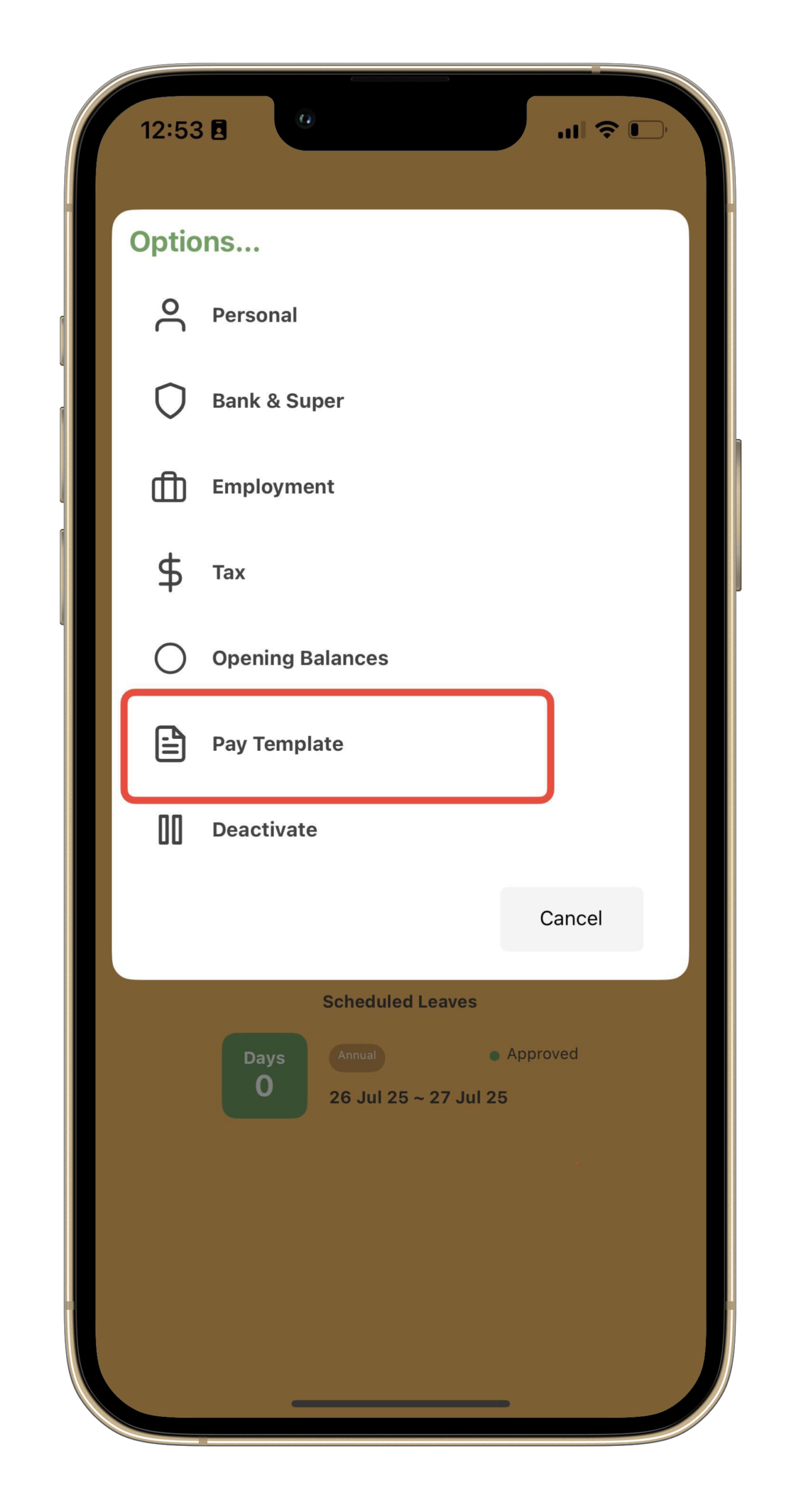 Payroller Mobile App - How to use the pay template on the Payroller mobile app - 4