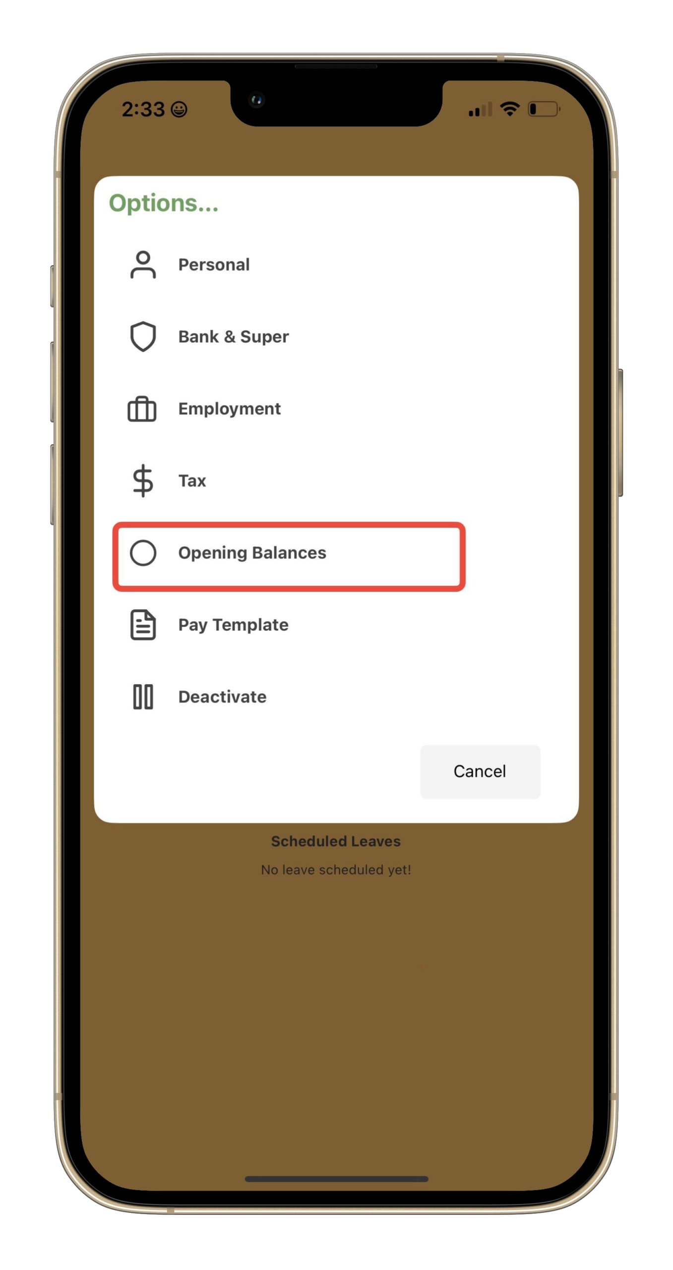 Payroller Mobile App - How to add opening balance to the Payroller mobile app - 4