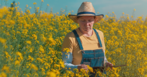 Understanding the Fair Work Information Statement (FWIS)